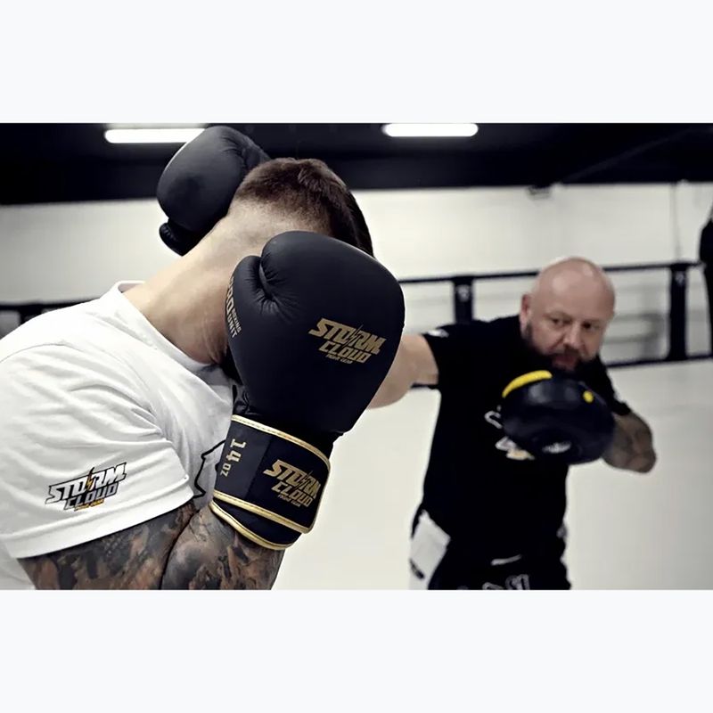Mănuși de box StormCloud Boxing Pro black/gold 12