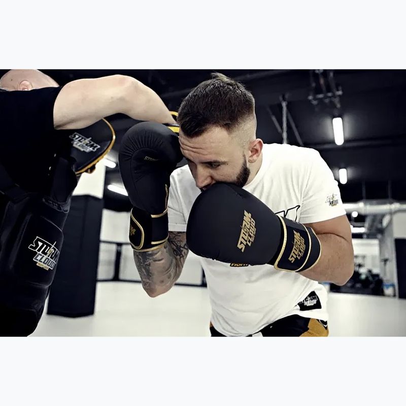 Mănuși de box StormCloud Boxing Pro black/gold 13