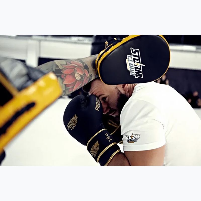 Mănuși de box StormCloud Boxing Pro black/gold 14