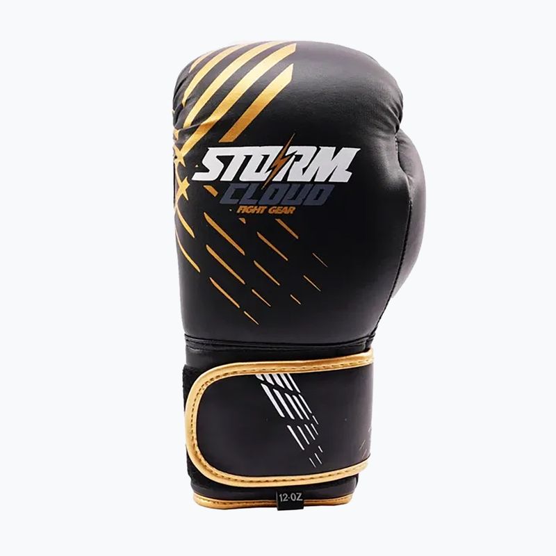 Mănuși de box StormCloud Lynx black/gold 2