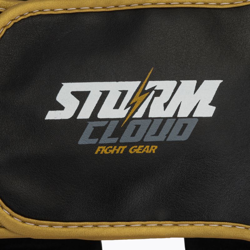 Cască de box StormCloud Lynx black/gold 5