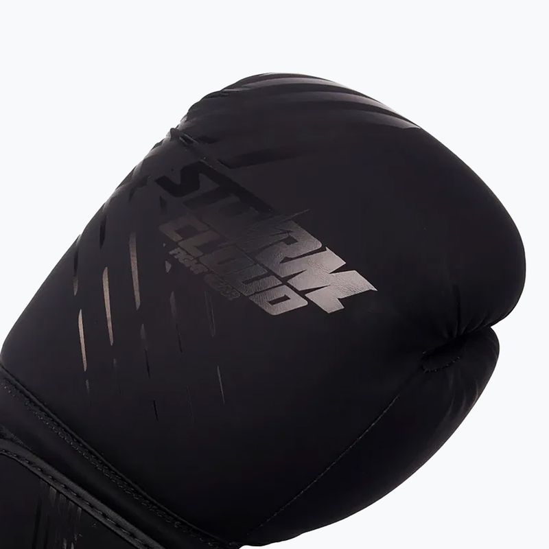 Mănuși de box StormCloud Lynx black/black 4