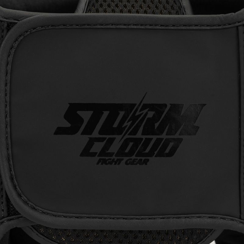 Cască de box StormCloud Lynx black/black 5
