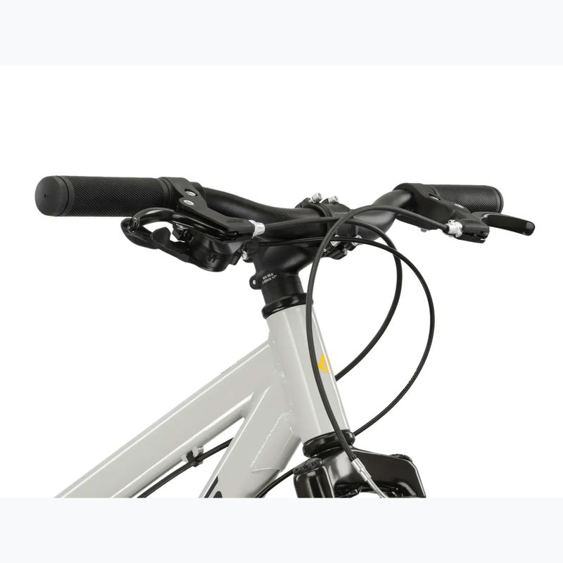 Bicicletă pentru copii KROSS Dust Jr 1.0 grey/black/gloss 4