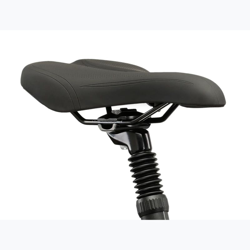 Bicicletă de trekking pentru bărbați KROSS Trans 3.0 green/silver/gloss 12