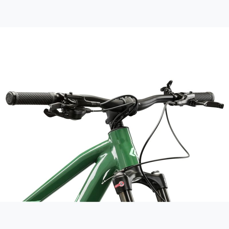 Bicicletă de munte KROSS Level 5.0 green/green/gloss 4