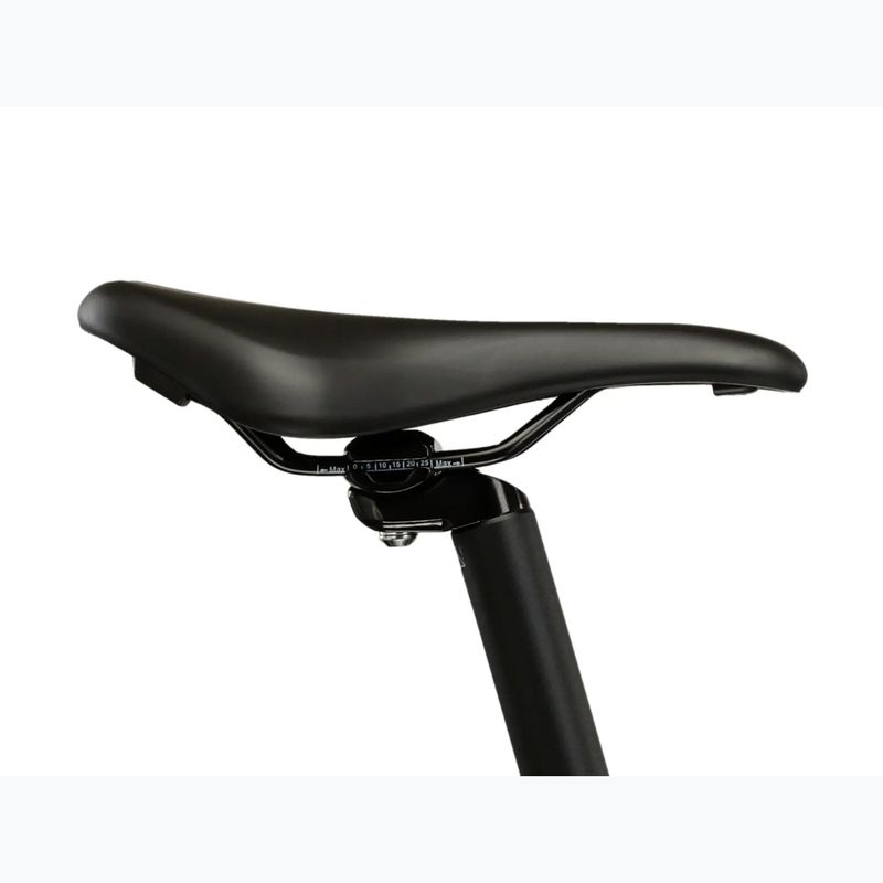 Bicicletă de munte pentru femei KROSS Lea 2.0 W 29 mint/purple/matte 12
