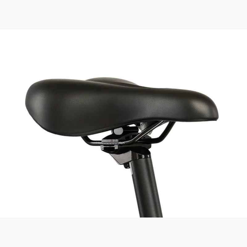 Bicicletă de munte pentru femei KROSS Lea 1.0 silver/white/gloss 10