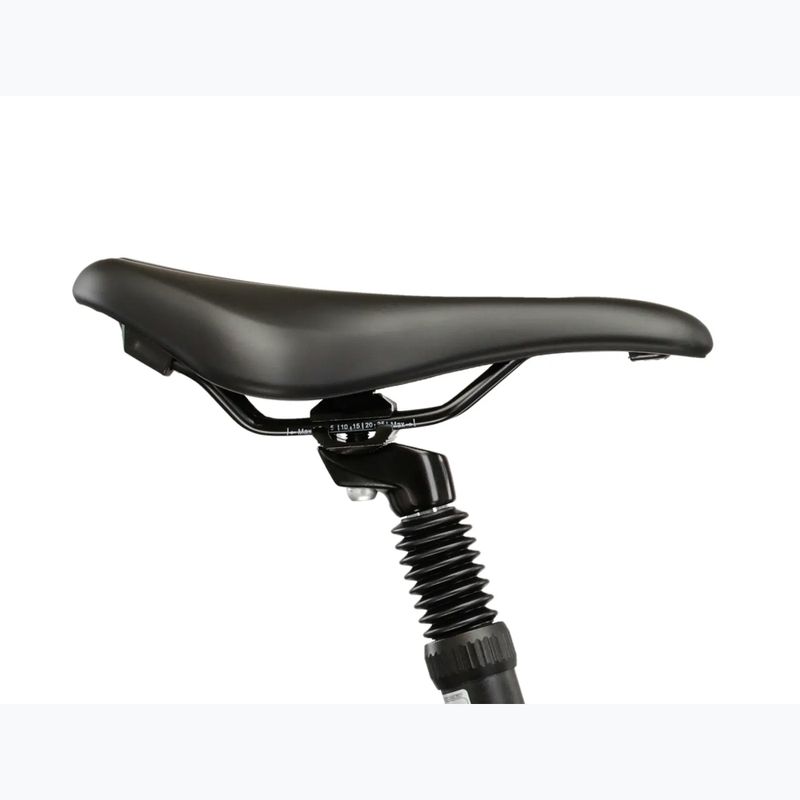 Bicicletă de cross pentru femei KROSS Evado 3.0 In grey/green/gloss 12