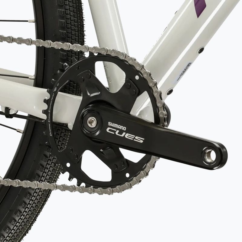 Bicicletă gravel KROSS Esker 1.0 FL grey/purple/gloss 9