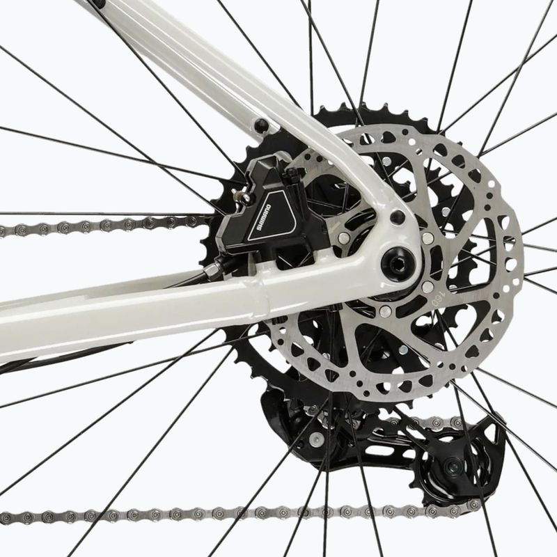 Bicicletă gravel KROSS Esker 1.0 FL grey/purple/gloss 10