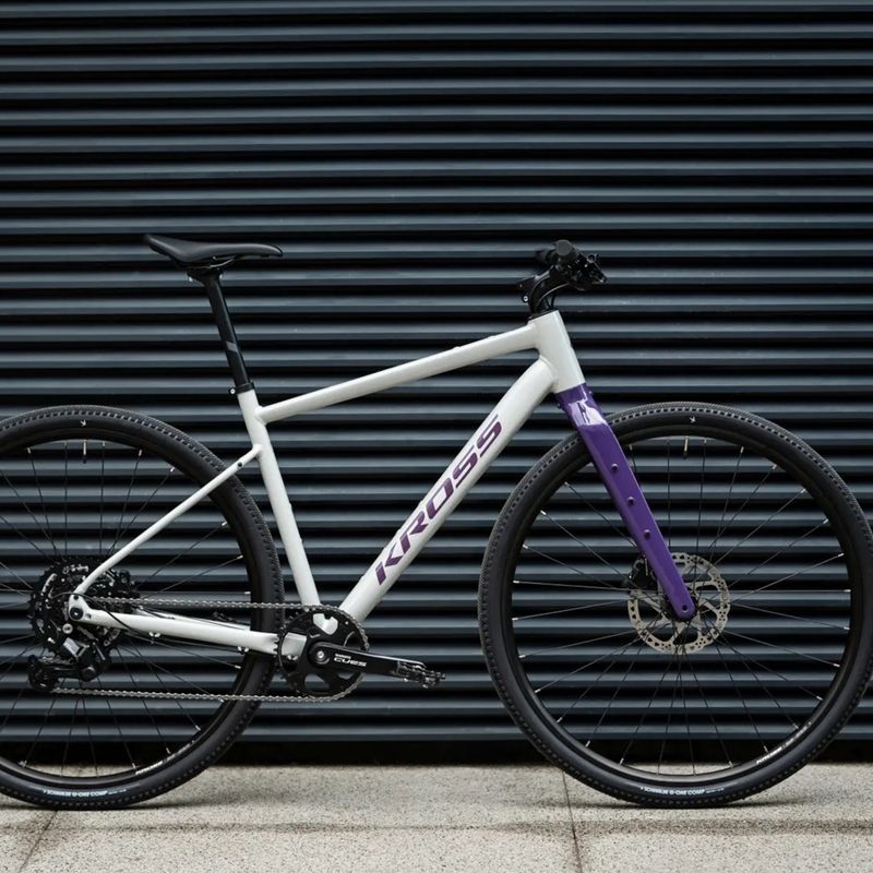 Bicicletă gravel KROSS Esker 1.0 FL grey/purple/gloss 13