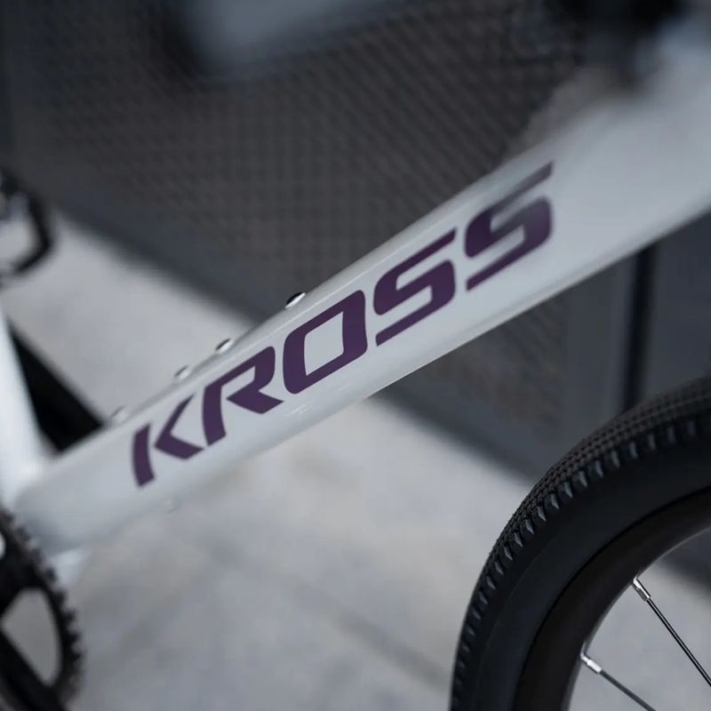 Bicicletă gravel KROSS Esker 1.0 FL grey/purple/gloss 14