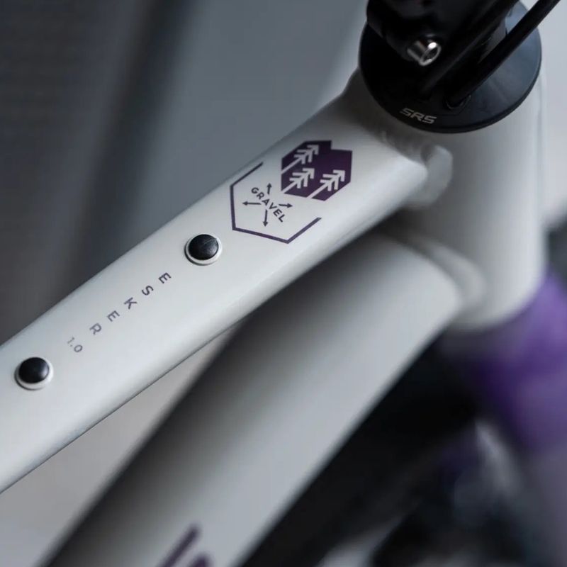 Bicicletă gravel KROSS Esker 1.0 FL grey/purple/gloss 15