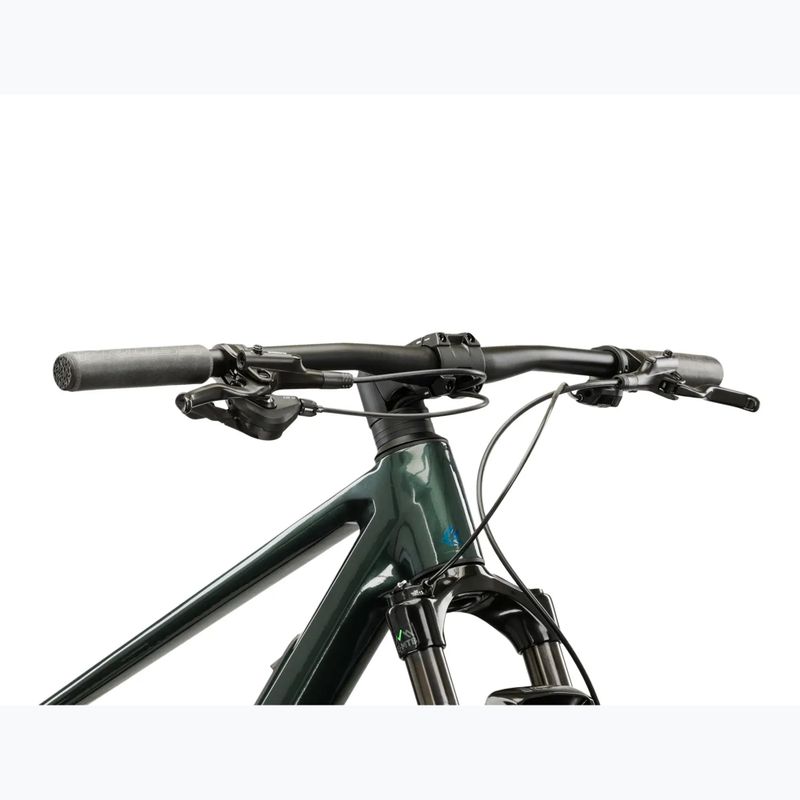 Bicicletă de munte KROSS Level RS 1.0 green/chameleon/gloss 4