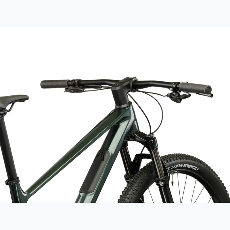 Bicicletă de munte KROSS Level RS 1.0 green/chameleon/gloss 10