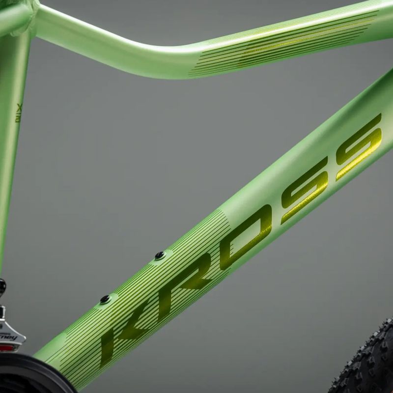 Bicicletă de munte pentru femei KROSS Lea X200 W 29 green/green/matte 12