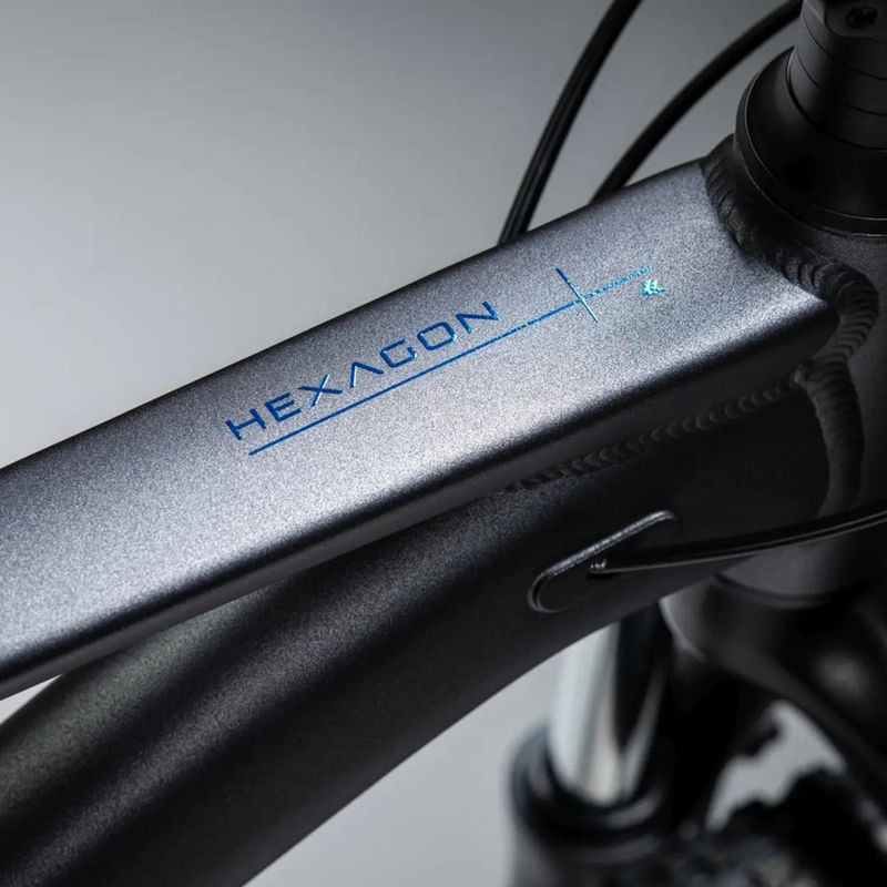 Bicicletă de munte KROSS Hexagon X200 29" grey/blue/matte 14