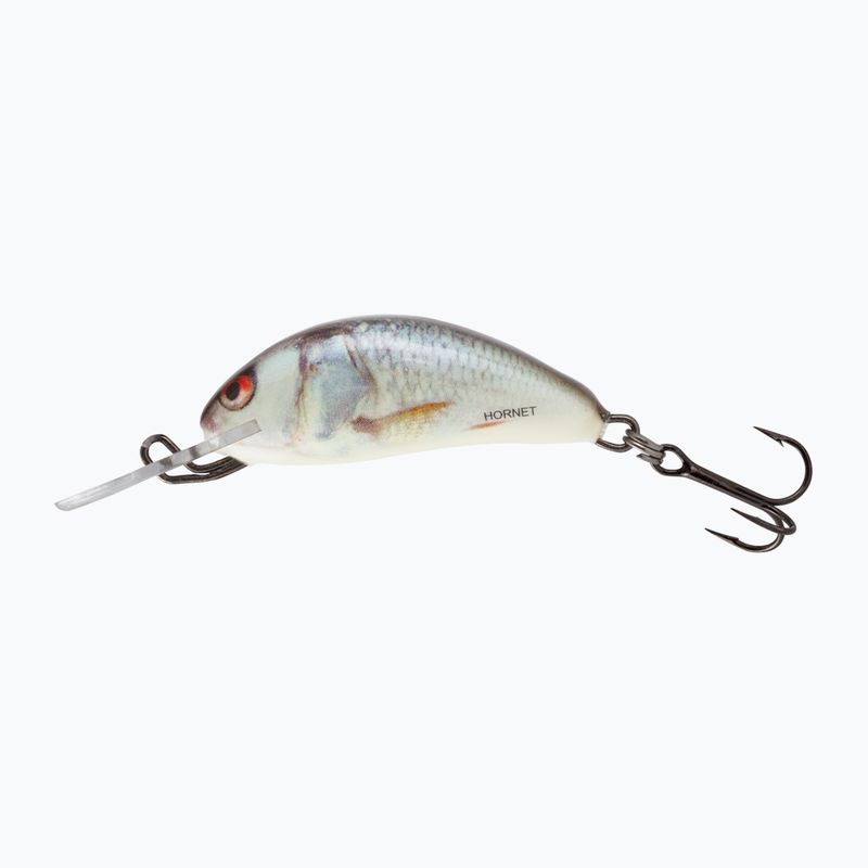 Wobbler Salmo Hornet FL dace real QHT016