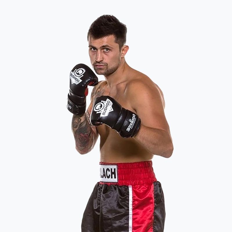 Mănuși de antrenament pentru box Bushido, negru, Rp4 6