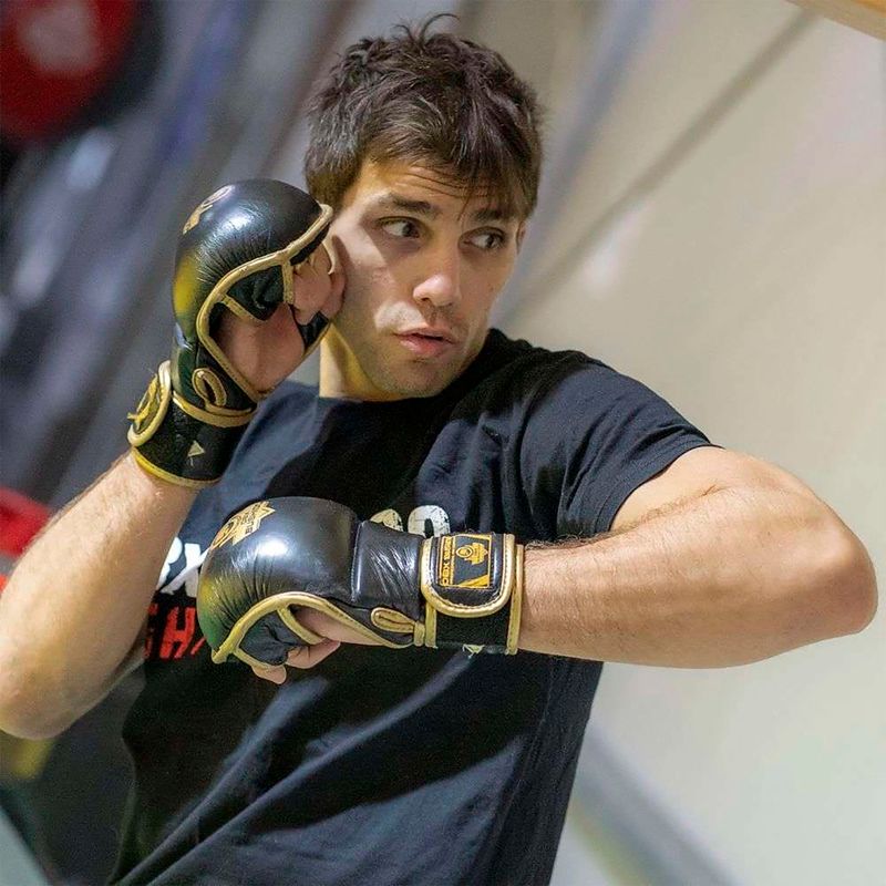 Mănuși de antrenament din piele Bushido MMA, alb, Arm-2011D-L 13