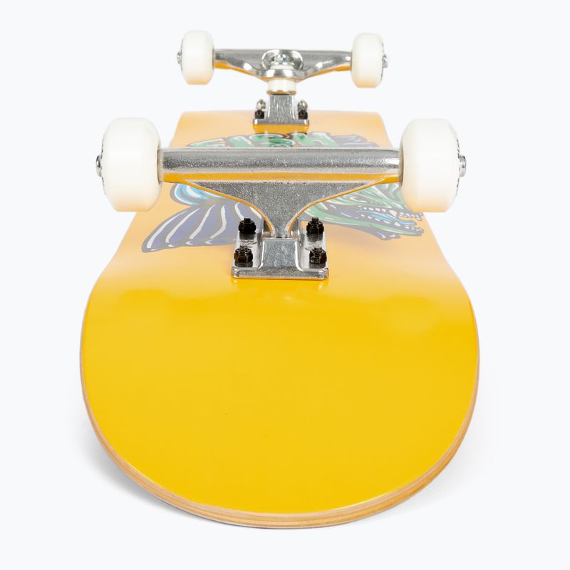 Fish Skateboards Mason Mason Beginner skateboard clasic 8.0 galben 5