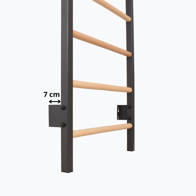 Scară de gimnastică RINAGYM Steel 1 graphit 10