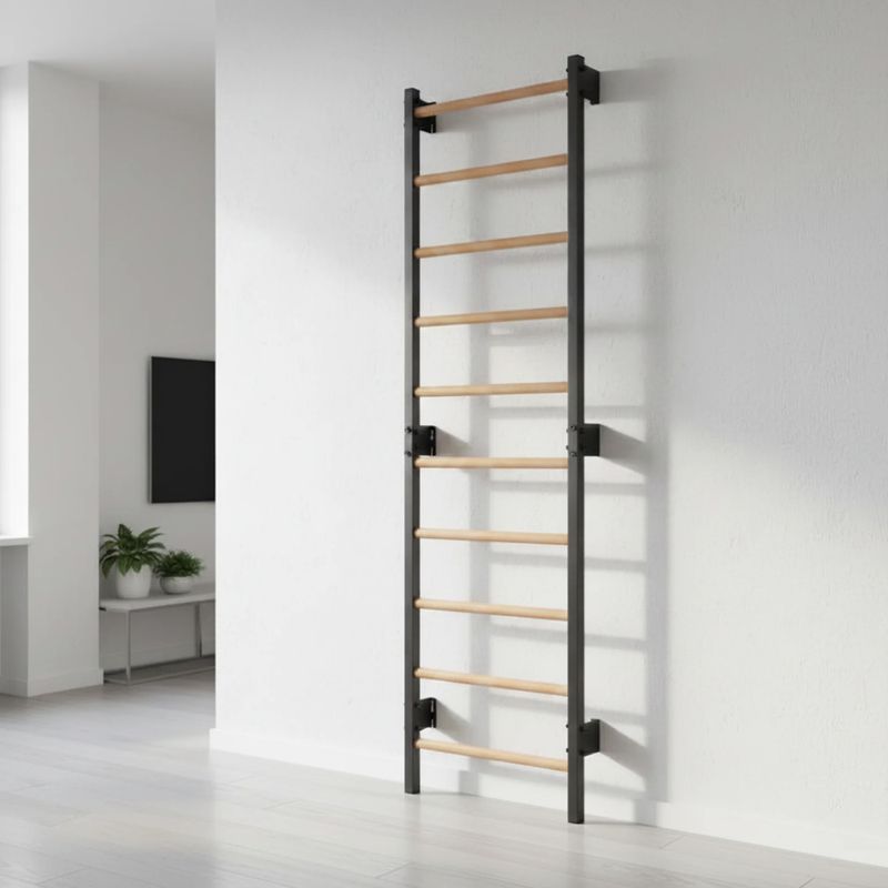 Scară de gimnastică RINAGYM Steel 1 graphit 11