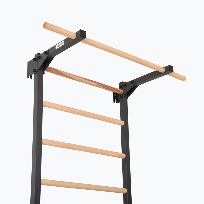 Scară de gimnastică RINAGYM Steel Pure graphit 5