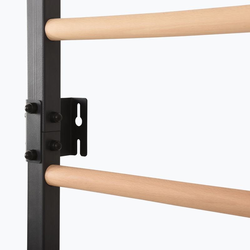 Scară de gimnastică RINAGYM Steel Pure graphit 11