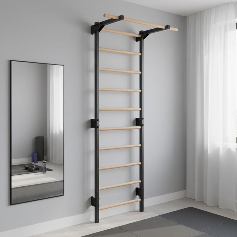 Scară de gimnastică RINAGYM Steel Pure graphit 14