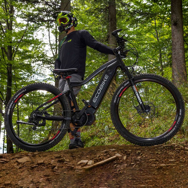 Bicicleta electrică Ecobike RX500 17.5Ah LG negru 1010406 19