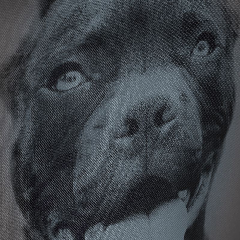 Rucsac pentru bărbați Pitbull West Coast Pitbull Ir black/grey 12