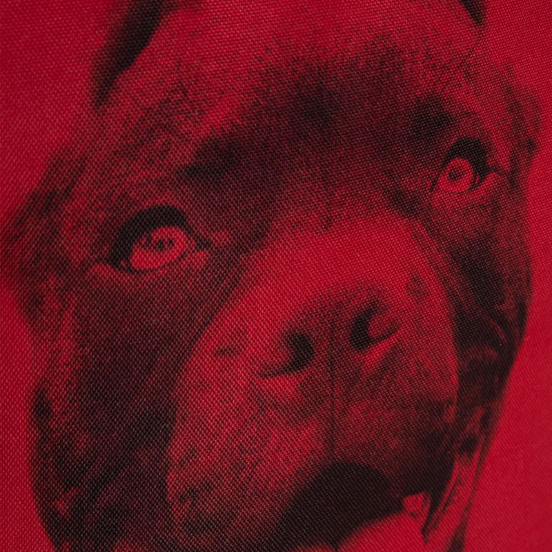 Rucsac pentru bărbați Pitbull West Coast Pitbull Ir black/red 13