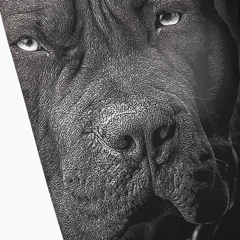 Jambiere pentru bărbați Pitbull West Coast Born in 1989 black 3
