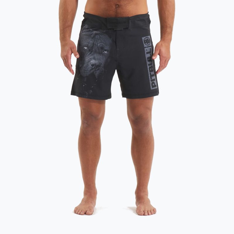 Pantaloni scurți de grappling pentru bărbați Pitbull West Coast Grappling 3 Born in 1989 black