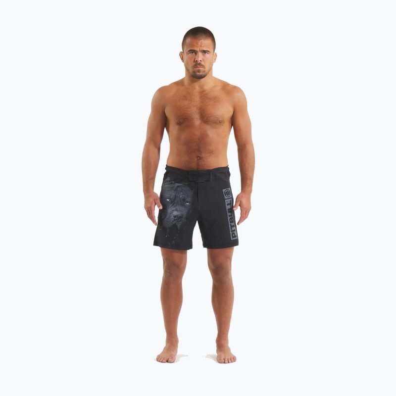 Pantaloni scurți de grappling pentru bărbați Pitbull West Coast Grappling 3 Born in 1989 black 2