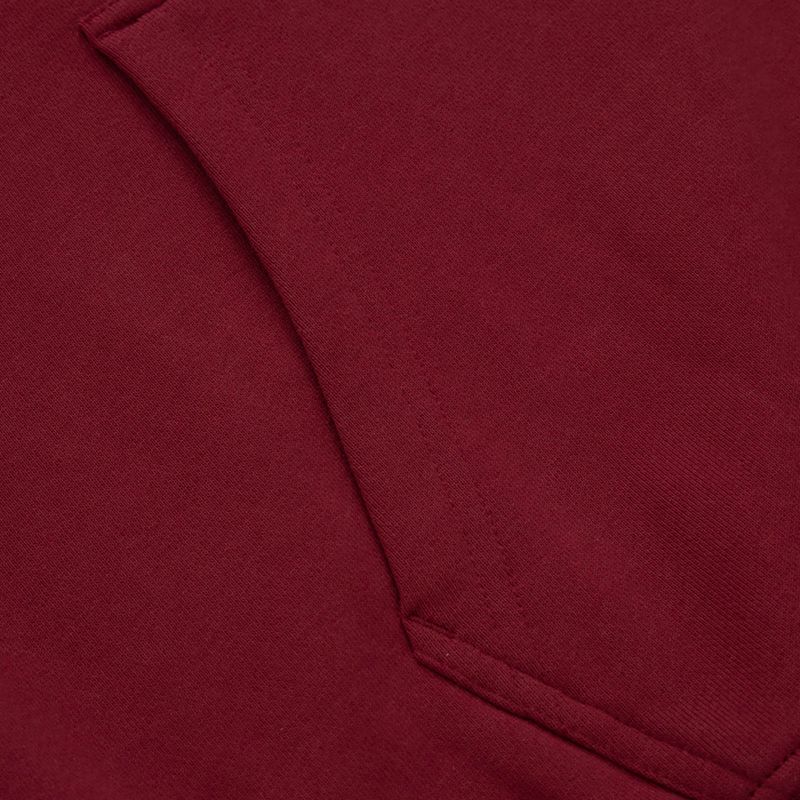 Hanorac pentru bărbați Pitbull West Coast Everts Hooded burgundy 6