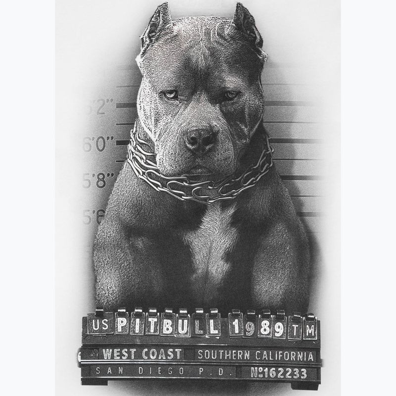 Tricou alb pentru bărbați Pitbull West Coast Mugshot 2