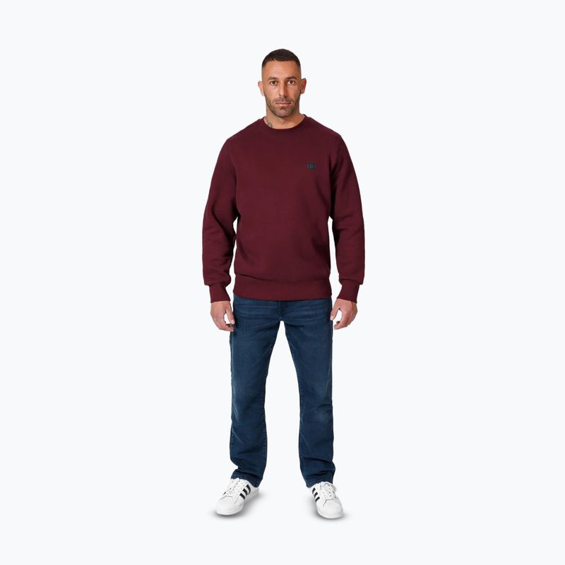 Bluză pentru bărbați Pitbull Small Logo Crewneck burgundy 2