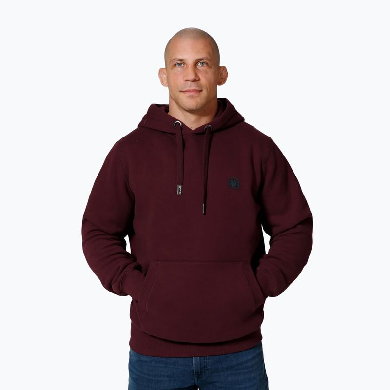Bluză pentru bărbați Pitbull Small Logo Hooded burgundy