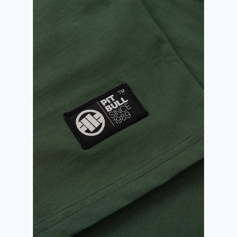 Tricou pentru bărbați Pitbull Small Logo green 12