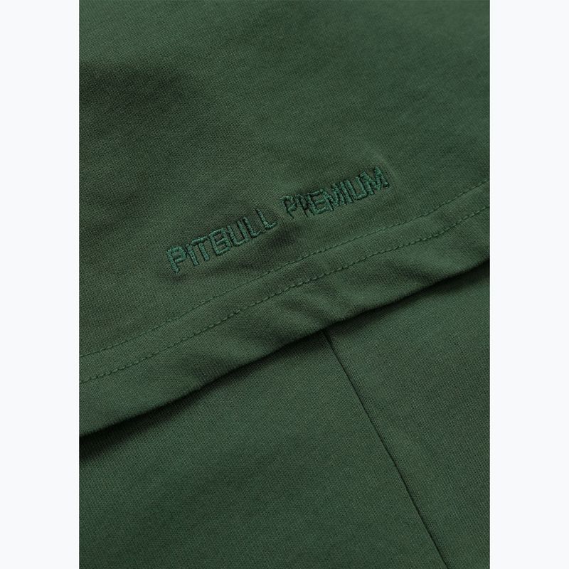 Tricou pentru bărbați Pitbull Scratch green 11