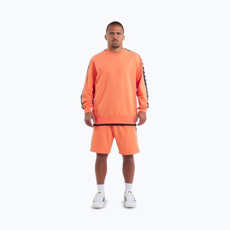Bluză pentru bărbați  Pitbull Tape Nugget Crewneck Sweatshirt bright salmon 2