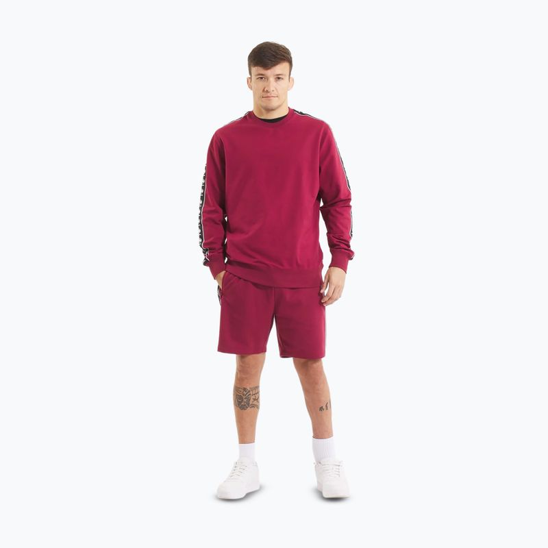 Bluză pentru bărbați  Pitbull Tape Nugget Crewneck Sweatshirt burgundy 2