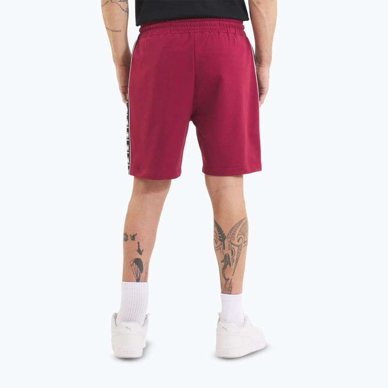 Pantaloni scurți pentru bărbați Pitbull Tape Nugget burgundy 3