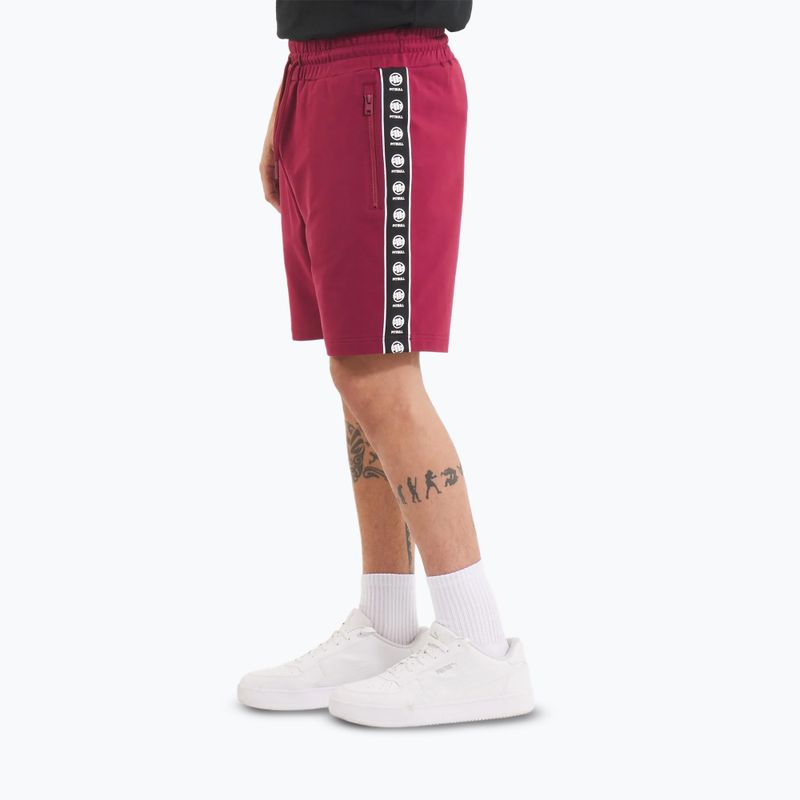 Pantaloni scurți pentru bărbați Pitbull Tape Nugget burgundy 4