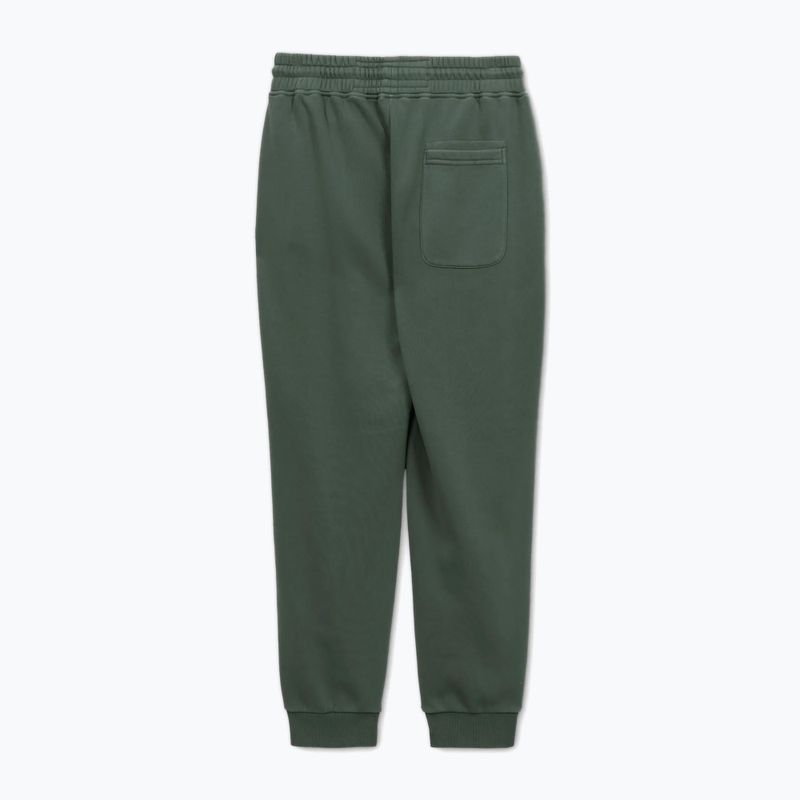 Pantaloni pentru bărbați Pitbull Lancaster 2 Track Pants sage green 5