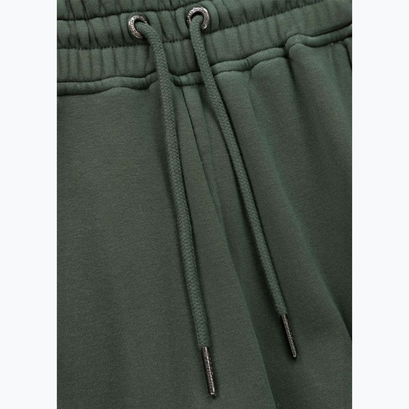 Pantaloni pentru bărbați Pitbull Lancaster 2 Track Pants sage green 6