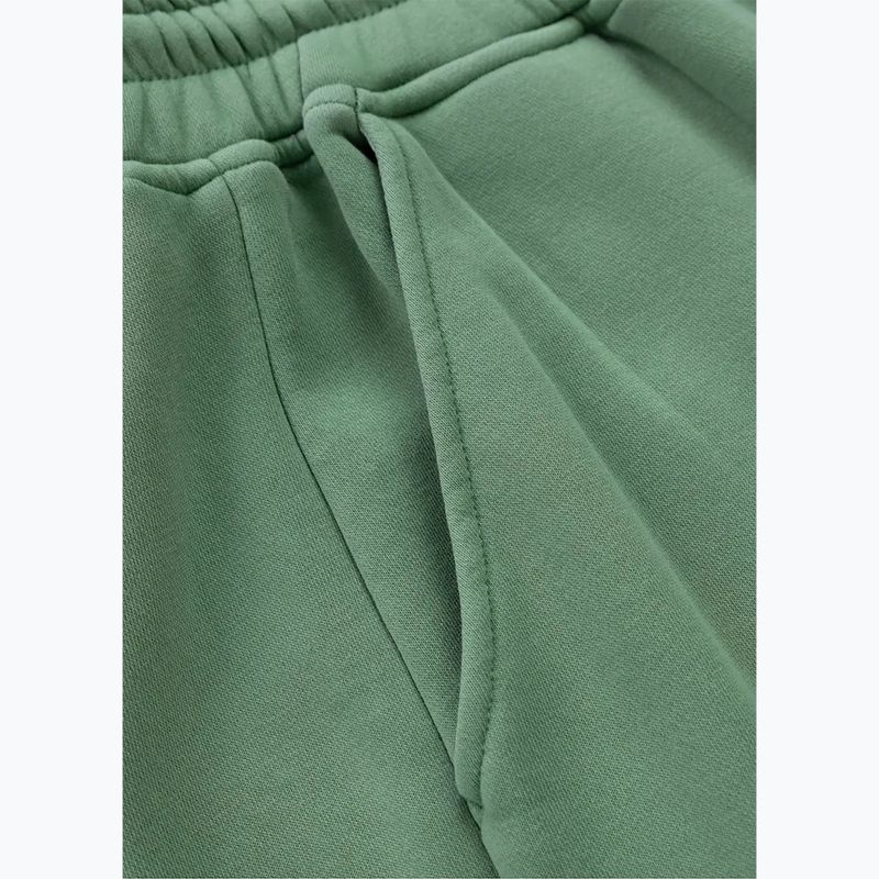 Pantaloni pentru bărbați Pitbull Lancaster 2 Track Pants washed green 7